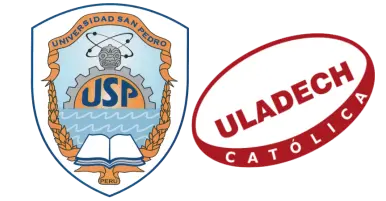 Tesis USP   - ULADECH - UAP